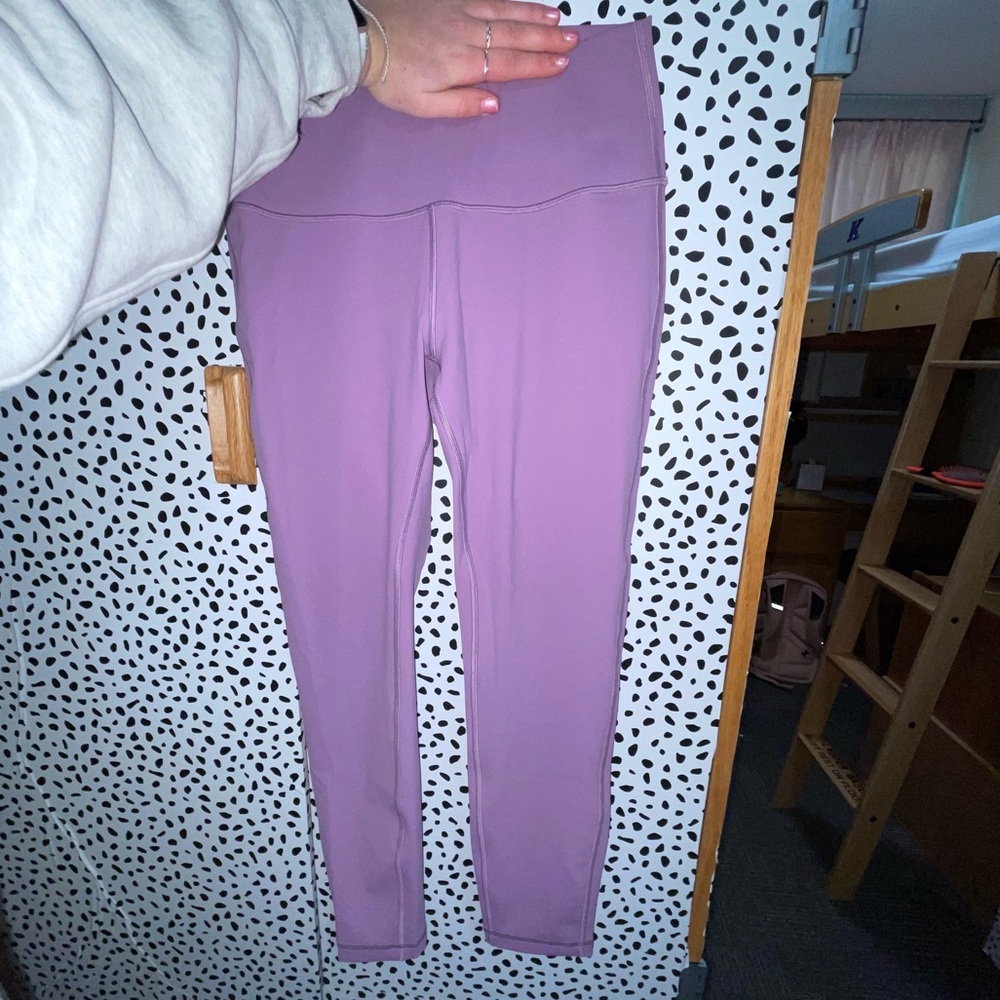 Wisteria Purple Wunder Unders
